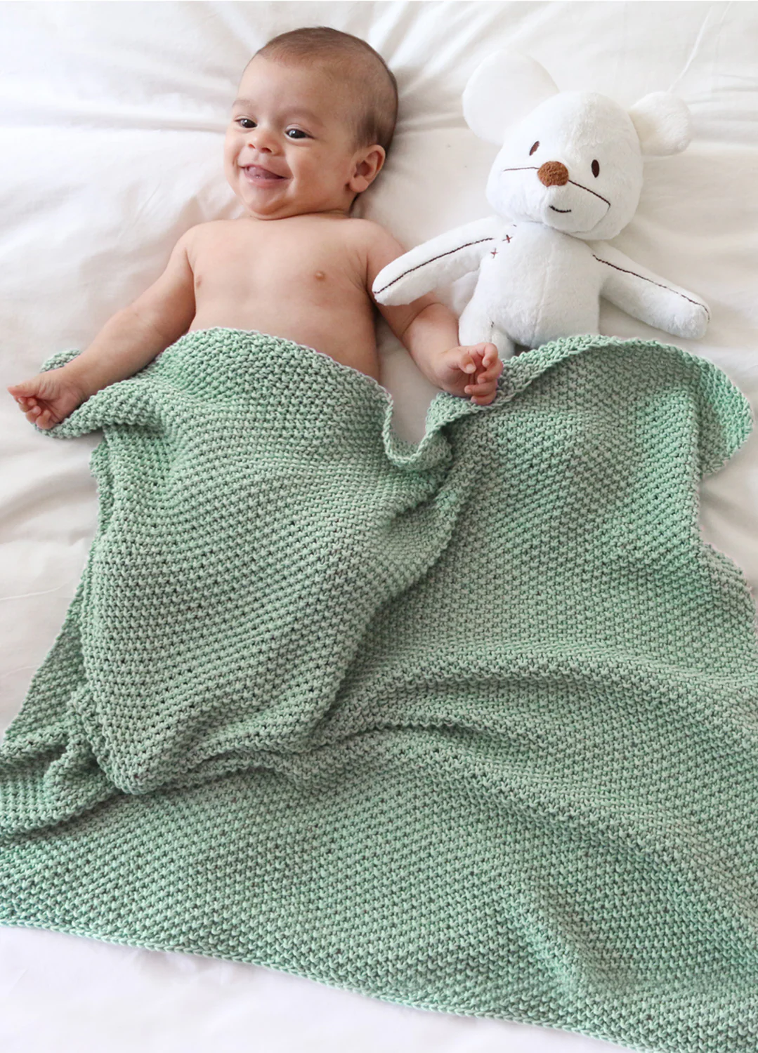 Dragonfly Blanket Kit - Image 14