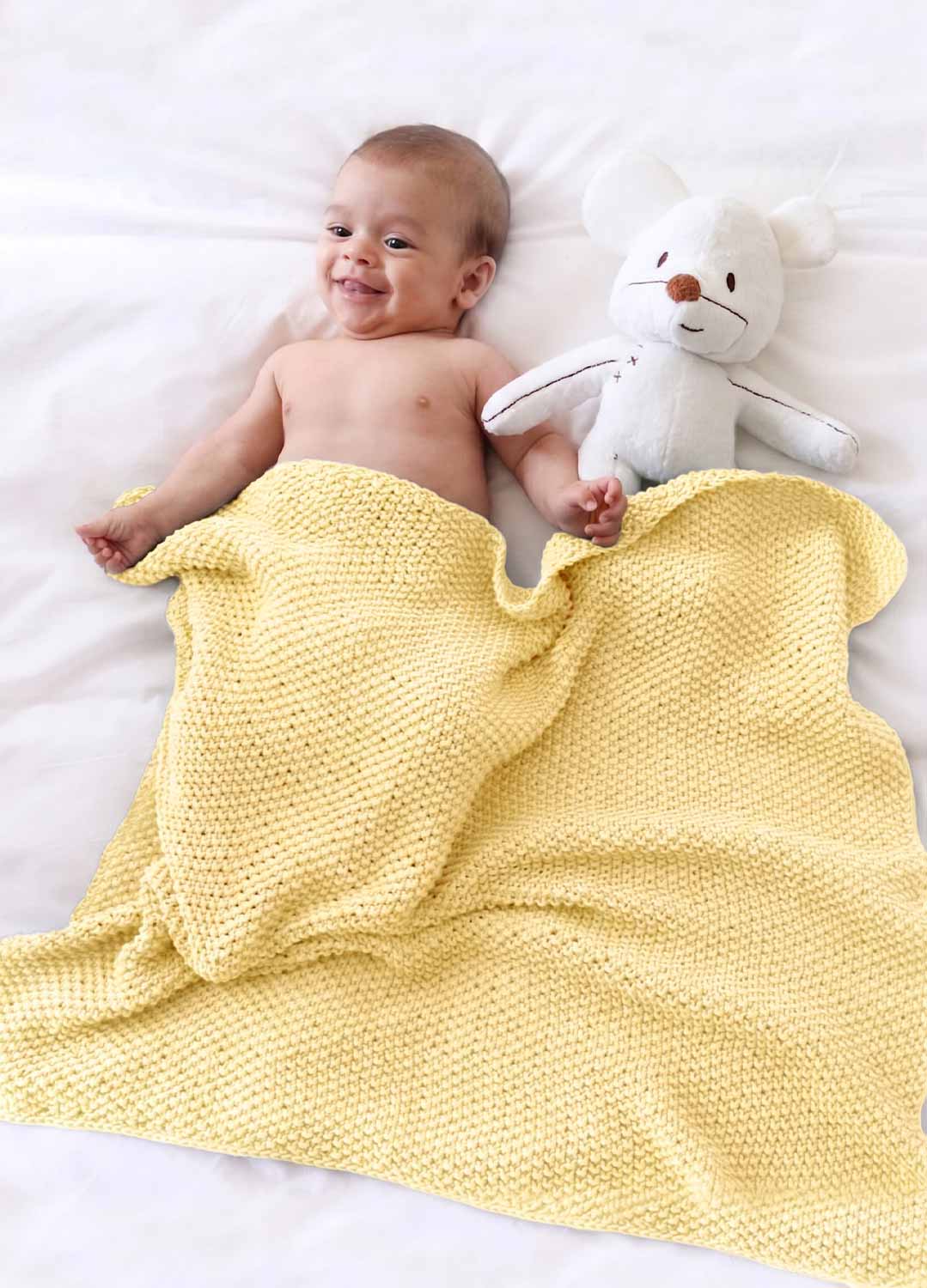 Dragonfly Blanket Kit - Image 9