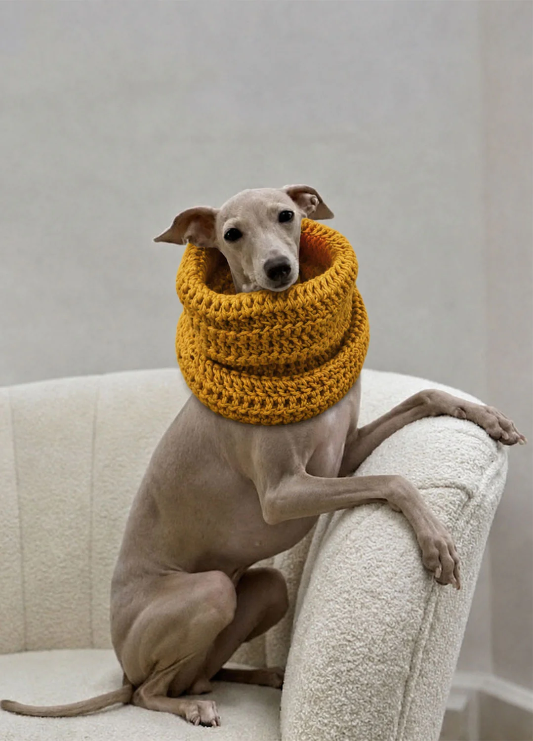 Rex Snood Kit for Pets - Yummy Version - Image 4