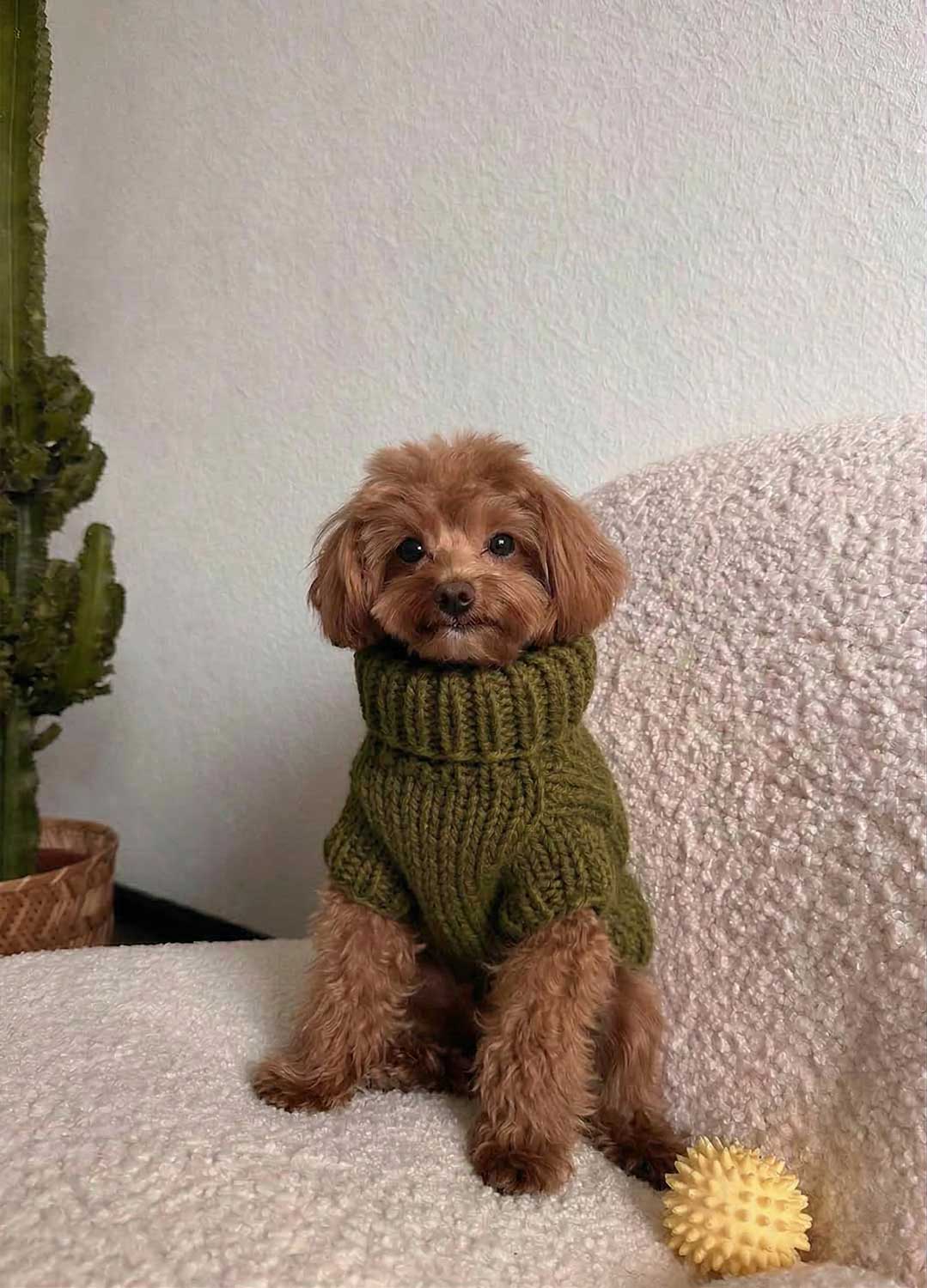 Scooby Sweater Kit for Pets - Yummy Version - Image 2