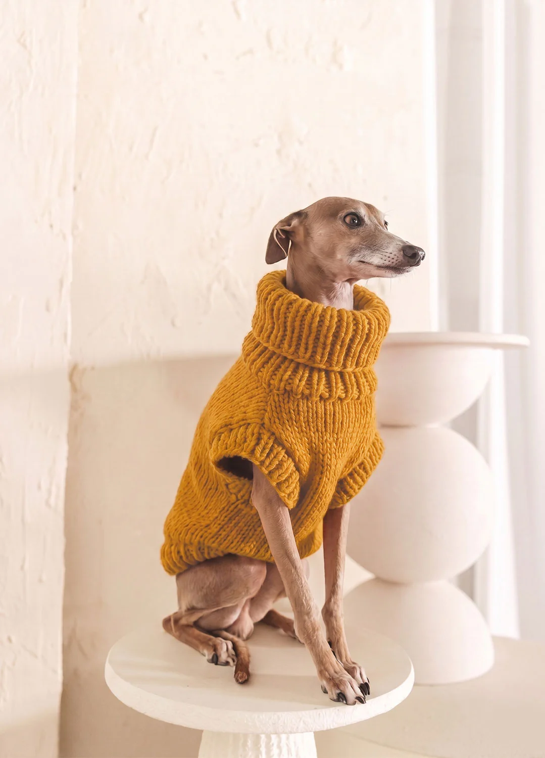 Scooby Sweater Kit for Pets - Yummy Version - Image 3