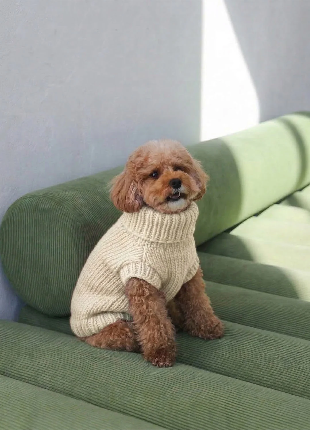 Scooby Sweater Kit for Pets - Yummy Version - Image 4