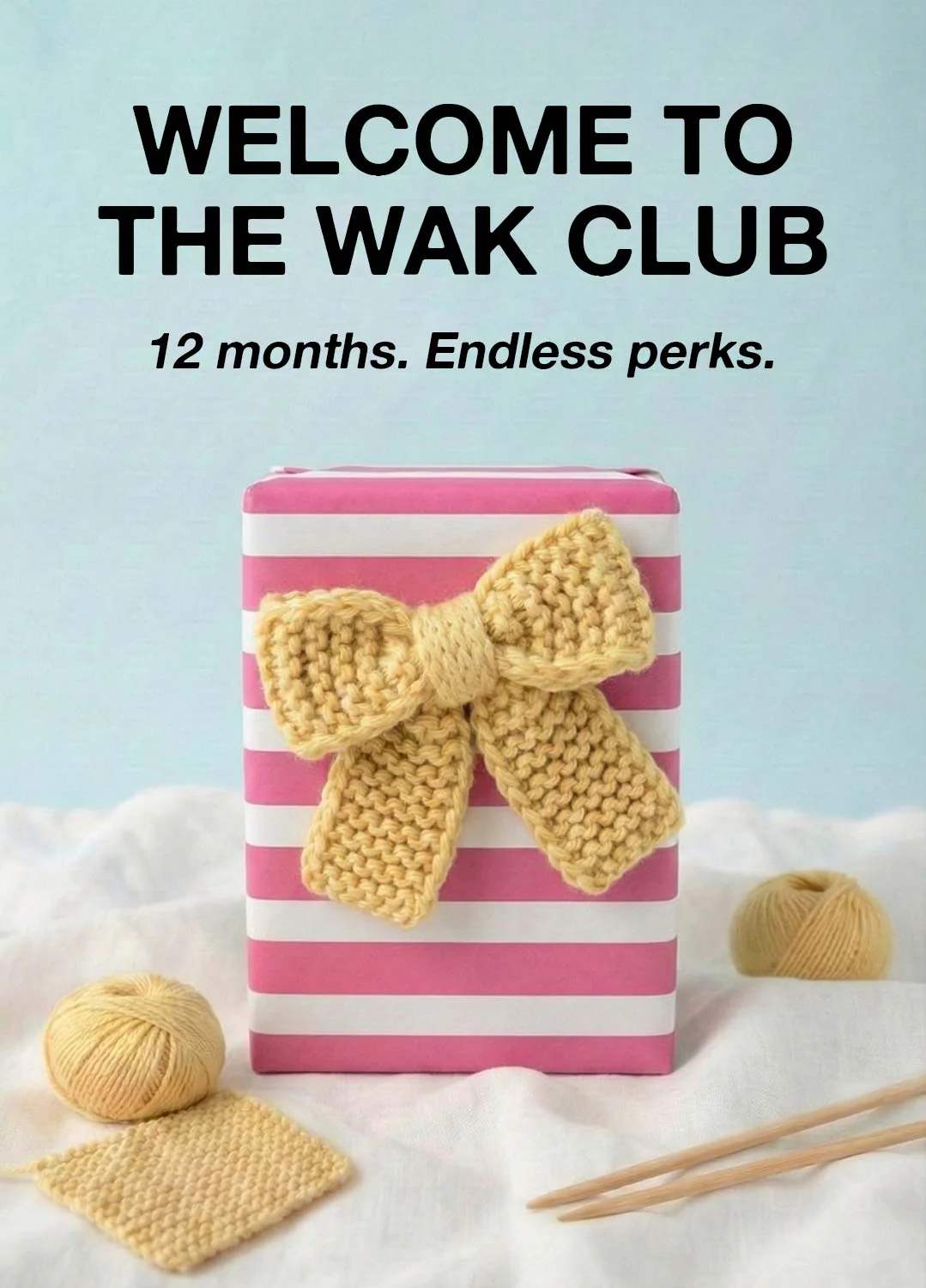 We Are Knitters Club - Membership Program